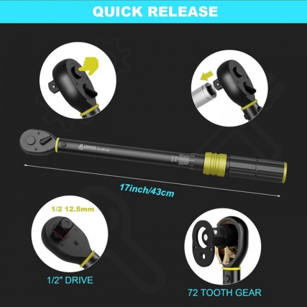 ANPUDS 1/2-Inch Drive Click Torque Wrench, 10-170 Ft-Lb/13.6-230.5 Nm, Dual-Direction Torque Wrench, 72-Tooth Dual Range Scales Torque Wrench with Quick Release Reversible Head for Motorcycle, Car