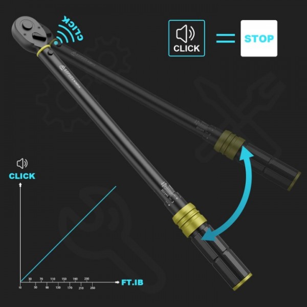 ANPUDS 1/2-Inch Drive Click Torque Wrench, 30-250 Ft-Lb/40.7-339 Nm, Dual-Direction Torque Wrench, 72-Tooth Dual Range Scales Torque Wrench with Quick Release Reversible Head for Motorcycle, Car